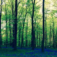 Siân Williams (@sianwilliams41) Twitter profile photo