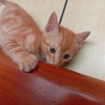 jeff690419's profile picture. 