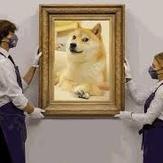 KayBenedict1's profile picture. European Shorthair Cat Breed Information & Characteristics | Daily Paws