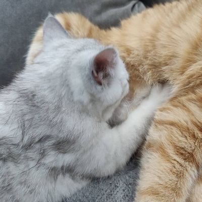 Bright0525's profile picture. 