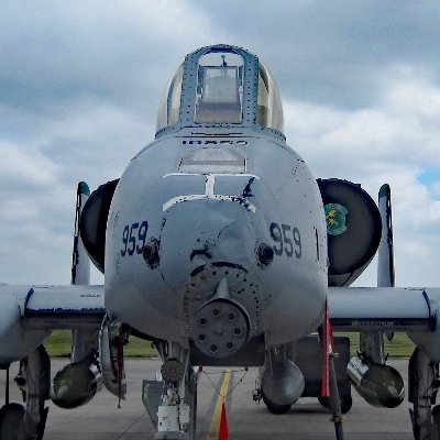 10thunderbolt2's profile picture. 