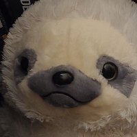 VergilSimping (@thatdios) 's Twitter Profile