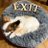 Naaa_exit