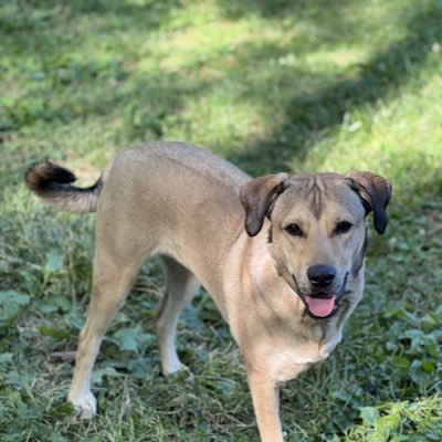 Craig_Benz1's profile picture. Twitter is not my thing.