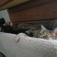 Luke (@ykarmic) 's Twitter Profile Photo