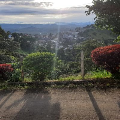 Jaime_G_Camacho's profile picture. 