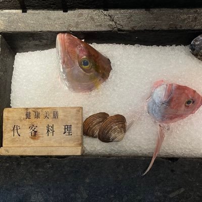 peggy3885's profile picture. 台湾人です。趣味は写真を撮ることです。成人済， 無言フォロー失礼します。