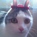 Bruvb (@eggmaster90000) Twitter profile photo