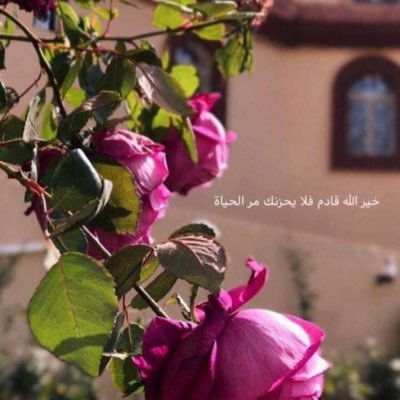 قيمتك الحقيقية ليست في حضورك .. بل في غيابك.