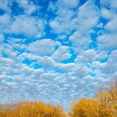 SAURAVISSAC1234's profile picture. A student of life, spreading good vibe, though sometimes in strife, enjoy life despite.