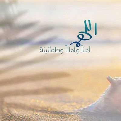 ليسانس دراسات إسلامية شعبة أصول الدين قسم تفسير القرآن وعلومه
حاصله على إجازة بروايتي شعبه وحفص عن عاصم وإجازة في القاعده النورانية الفتحيه المطورة وشهادة أخرى