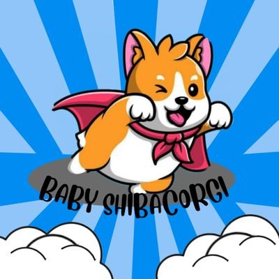 @BabyShibaCorgi