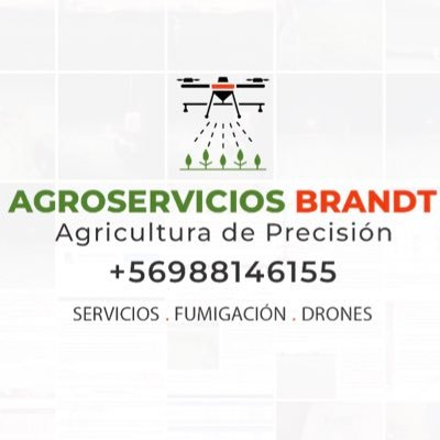 Fumigación aérea con drones. Aplicación de agroquímicos en diversos cultivos. cotiza con nosotros tu próxima aplicación 📱+56988146155