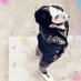 Ahmadzai (@ahmadza86622885) Twitter profile photo Ahmadzai (@ahmadza86622885) Twitter profile photo