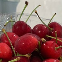 Top Bot (@cucumberbott) 's Twitter Profile