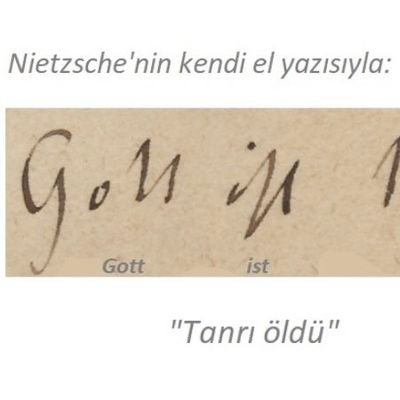 lacivert_mamo's profile picture. 