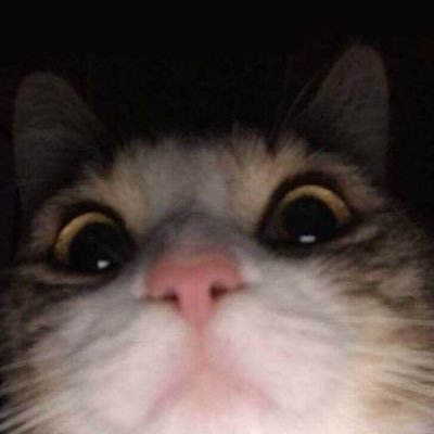 sawatdeeka1995's profile picture. 