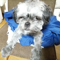 まるこ (@rddaila23meqn71) 's Twitter Profile Photo まるこ (@rddaila23meqn71) 's Twitter Profile Photo