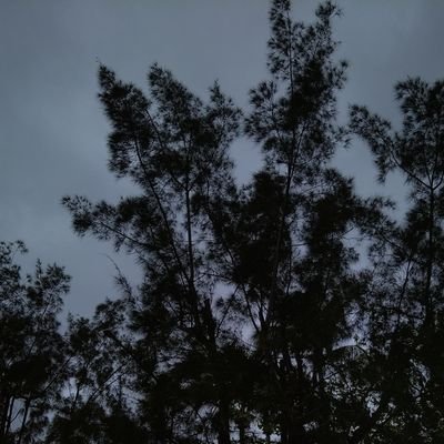 acad__client's profile picture. 🇵🇭