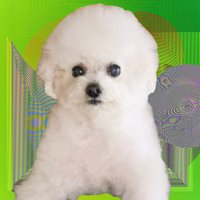 ใใใใ๐ (@_samuraai_) 's Twitter Profile
