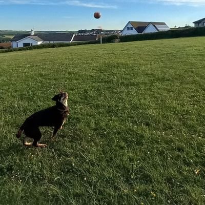 bevi10n's profile picture. hip chick,( week 2)