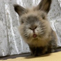 Mukk (@mukk0609) 's Twitter Profile