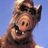 AlfInStealth's profile image