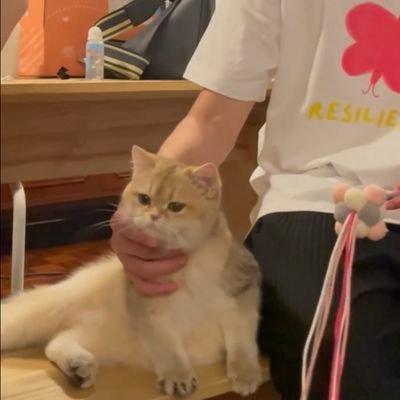 NewMeloveMeso's profile picture. Be yourself no matter whatever they say