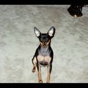 Debbie Keith - @gettoknow - Twitter