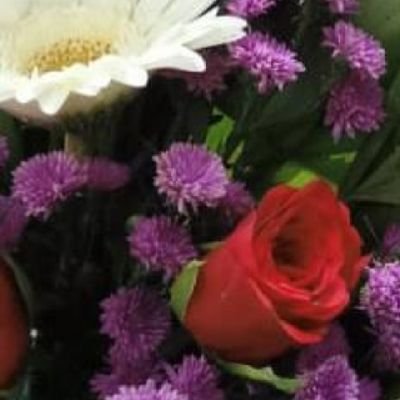 BendwalSurekha's profile picture. Surekha bendwal