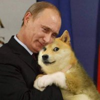 Good Plenty(@Putindoge) 's Twitter Profile Photo