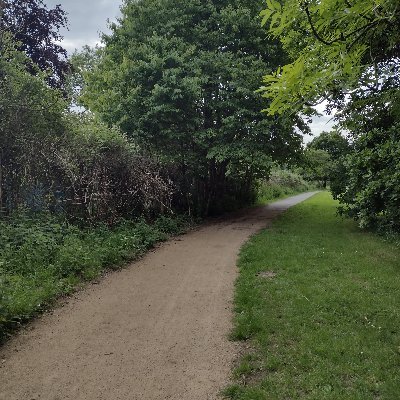 HA_MResearch's profile picture. .