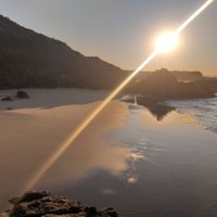 Freedom_Nude_Beach (@freedomnude) 's Twitter Profile Photo Freedom_Nude_Beach (@freedomnude) 's Twitter Profile Photo