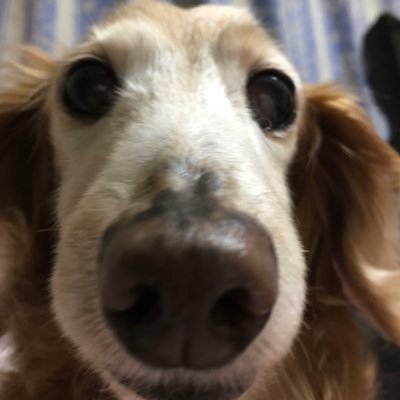 k_ogaki111's profile picture. 