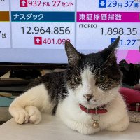 kotaro.marks(@kotaroMarks) 's Twitter Profile Photo