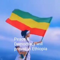 Tigistu A.A(@TigistuAA1) 's Twitter Profile Photo