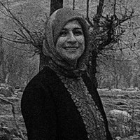 Mohsina Gulzar (@mohsinamw) 's Twitter Profile
