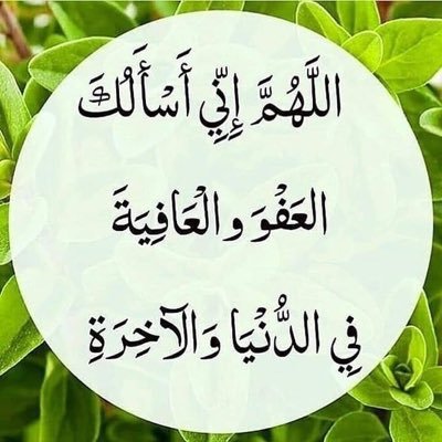 Apprendre, comprendre, appliquer et transmettre la religion en se basant sur les preuves de la voie authentique. L'islam est un mode de vie, une quête de savoir
