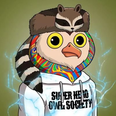 Superhero Owl is a NFT Collection with a limited supply. Superhero Owl It is built on the Ethereum and Polygon Blockchain and randomly generated 3,500 NFT