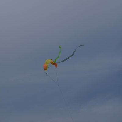 nksmhkr's profile picture. 