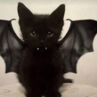 gfstans's profile picture. 