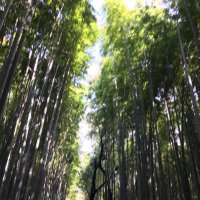 青桐 (@akh_r_b) 's Twitter Profile