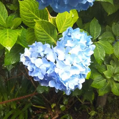 ☆ﾐﾙｸ☆