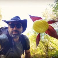 Joris Bertrand @jorisbertrand.bsky.social (@joris_bertrand) 's Twitter Profile Photo Joris Bertrand @jorisbertrand.bsky.social (@joris_bertrand) 's Twitter Profile Photo