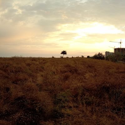 UBatrakov's profile picture.