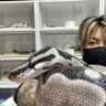 kk999kk753's profile picture. どうも仲村です☆ 爬虫類好き、ボールパイソンは特に好き!飼ってないけど興味ある、見るのは好き、全く興味ない! すべての方々仲良くしてくれると嬉しいです🙂動画はインスタorTikTokに載せてるので是非そちらでも繋がって頂けると嬉しいです💡 お気軽に宜しくお願いします🙇🏻♂️✨ 動物取扱業 第200-00250