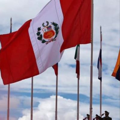 Partido Realidad Peruana, politólogo, periodista,