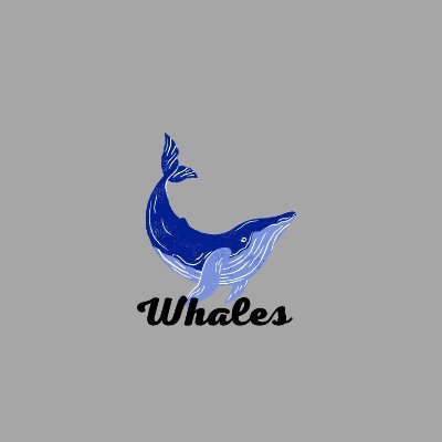 🐳WhalesCoin🐳
WHALES AS BORN AS A MEME , A DEFLATIONARY TOKEN THAT REWARDS HOLDERS WHIT THE AIM OG BRINGING AROUND THE WORLD .
