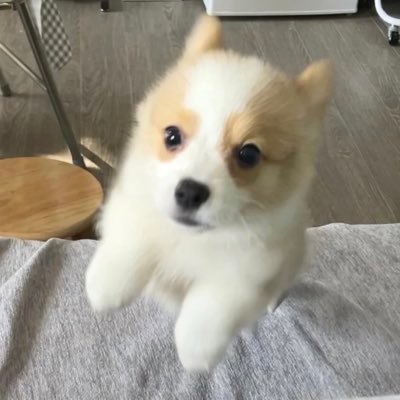 ibertink's profile picture. 桂林大学生 有点奶0