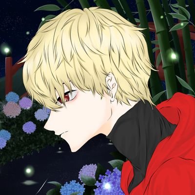 Mayui🍵さんのプロフィール画像